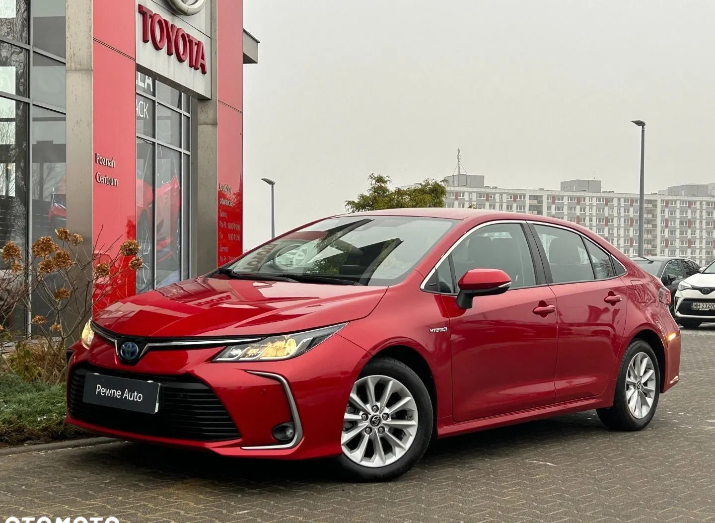 toyota corolla Toyota Corolla cena 79800 przebieg: 65093, rok produkcji 2019 z Poznań